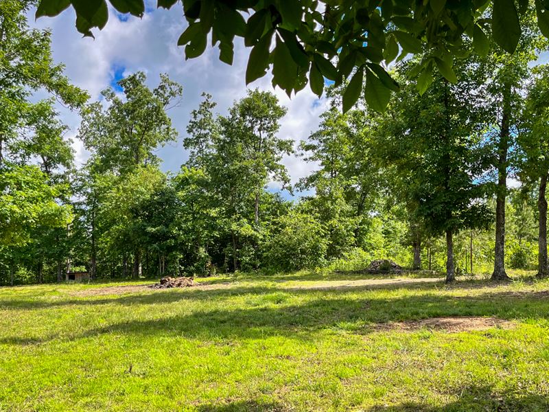 The Beauty Of The Ozarks : Winona : Shannon County : Missouri