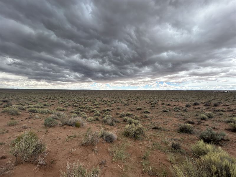 Build Your Future Near Near I-40 : Sun Valley : Navajo County : Arizona