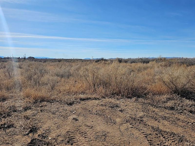 Half Acres of Possibility in CO : Blanca : Costilla County : Colorado