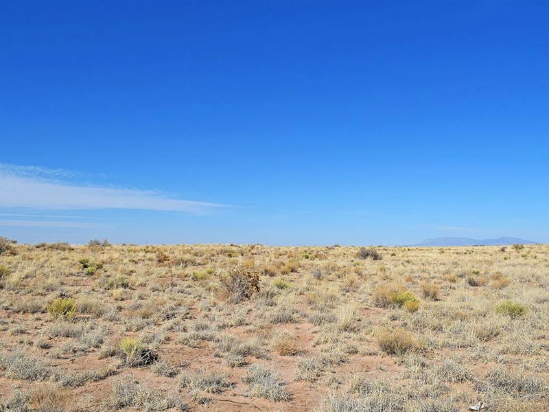 Own Your Own Little Piece of NM : Belen : Valencia County : New Mexico