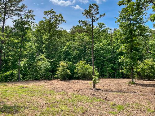 Electric and Water : Ellis Prairie : Texas County : Missouri