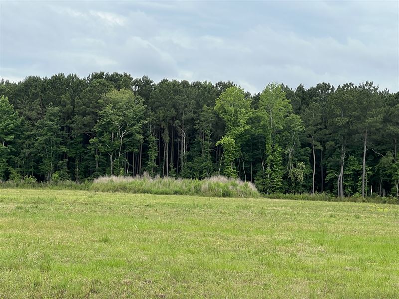 Cleared Acreage with Pond & Permit : Williamston : Martin County : North Carolina