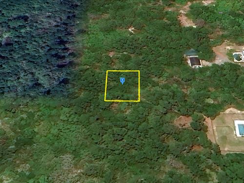 Lot Near Space Center, $500.95 Down : Titusville : Brevard County : Florida