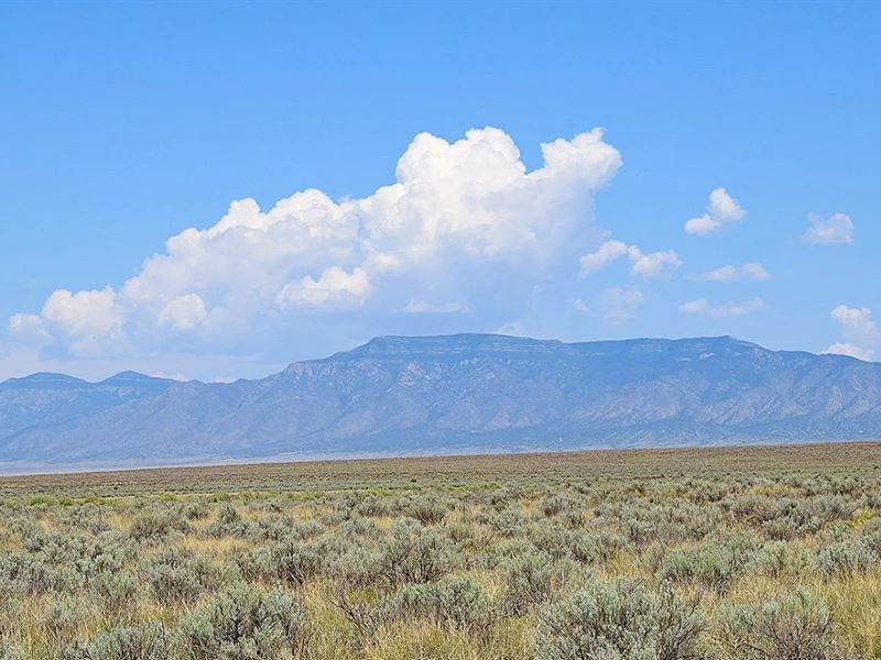 Peaceful 0.25 Acre Lot Near Belen : Belen : Valencia County : New Mexico