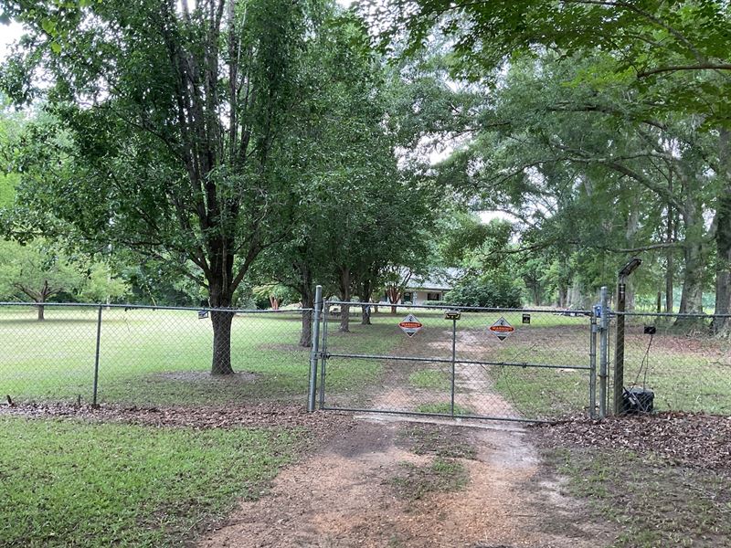 Lapine Hwy House and 7 Acres : Lapine : Crenshaw County : Alabama