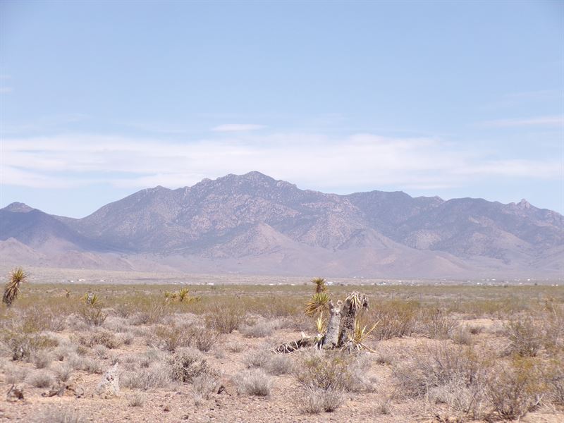 Dream Lot Rural Arizona Escape : Dolan Springs : Mohave County : Arizona