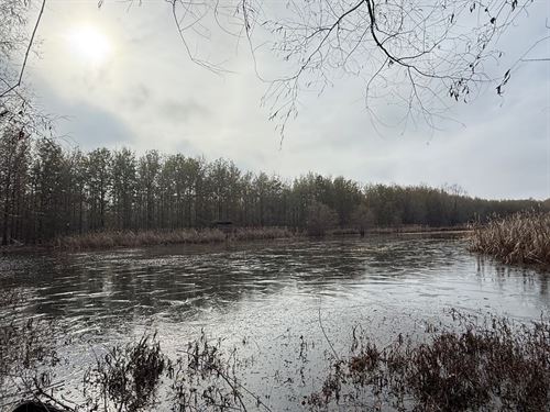 Deer And Duck Hunting Less Than : Earle : Crittenden County : Arkansas