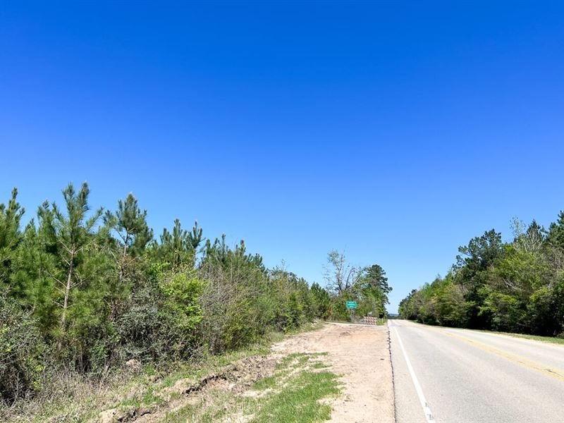 25 Acres, T-3, FM 942 : Camden : Polk County : Texas