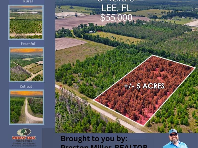 5 Wooded Acres Lee, FL : Lee : Madison County : Florida
