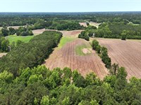 14 Acres of Vacant Rural Agricultur : Lumberton : Robeson County : North Carolina