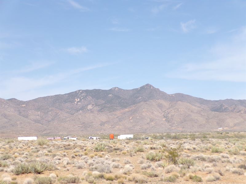 1 Acre Retreat in Chloride, AZ : Chloride : Mohave County : Arizona