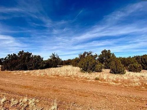 The Perfect Plot Twist $275/Mo : Snowflake : Navajo County : Arizona