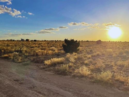 Go Off The Grid $125-$250/Month : Williams : Coconino County : Arizona