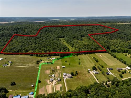 Secluded Wooded Land, Ross County : Chillicothe : Ross County : Ohio