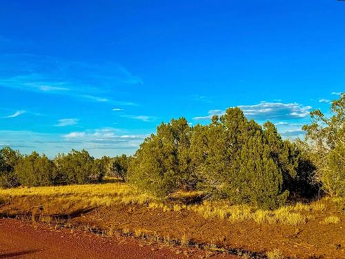 Own Private Playground $274/Mo : Williams : Coconino County : Arizona