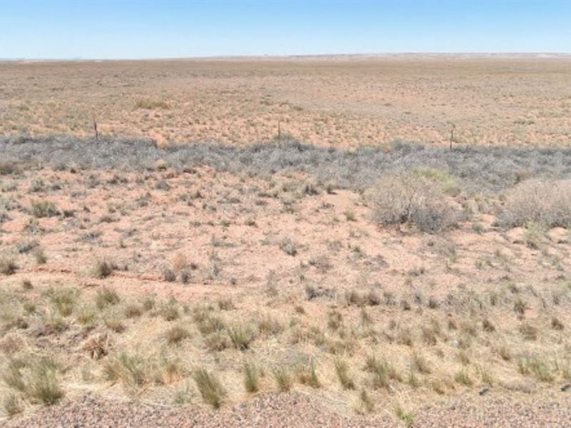 1.3 Acres in Navajo County, 100/Mo : Winslow-Holbrook : Navajo County : Arizona