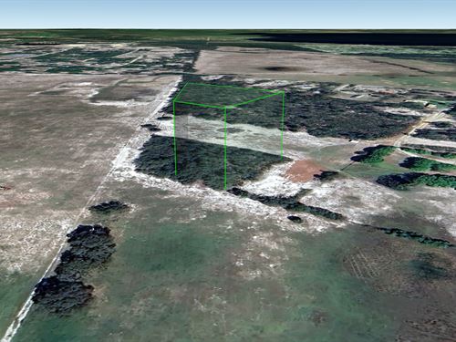 Ag Zoned Lot in FL, Just $253/Mo : Crescent City : Putnam County : Florida