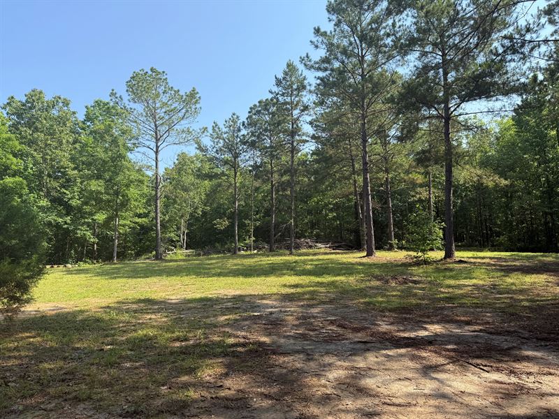 Private Wooded Land for Sale : Savannah : Hardin County : Tennessee
