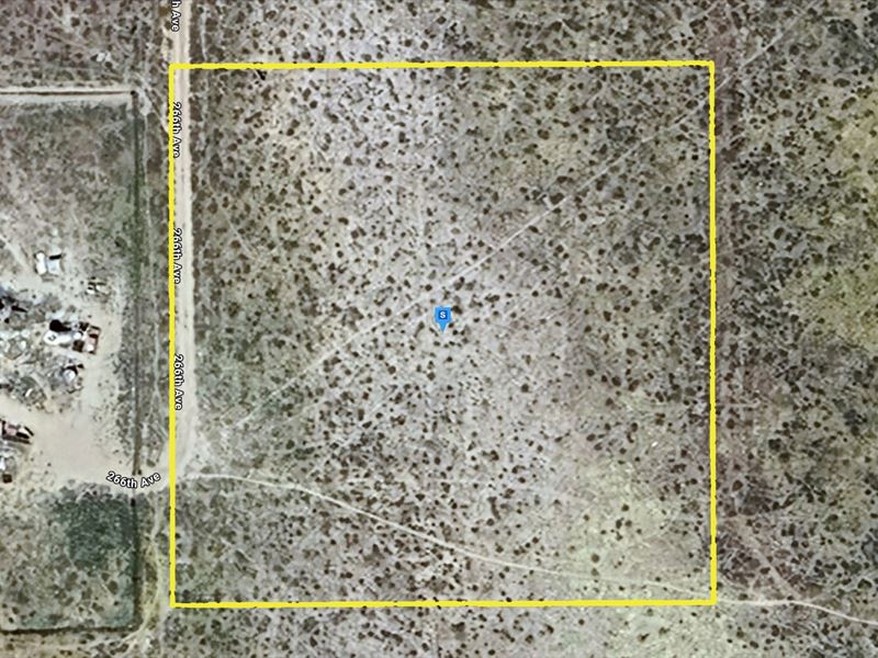 $711.33/Month, Close To Nature : Rosamond : Kern County : California