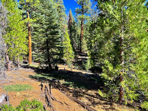 Camping, Recreation & Building Home : Alturas : Modoc County : California