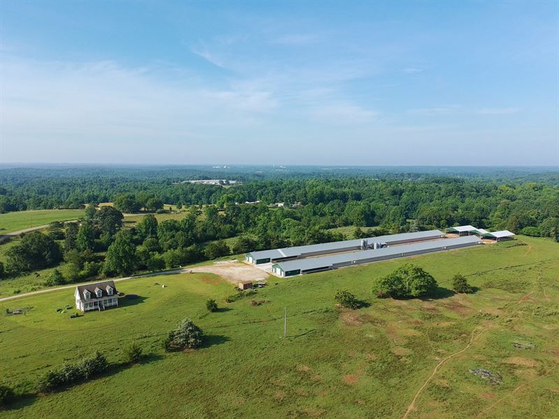 Faith Filled Breeder Farm : Fair Play : Oconee County : South Carolina