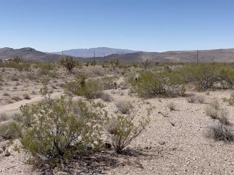 Prime Lot in White Hills Ghr Unit 4 : White Hills : Mohave County : Arizona