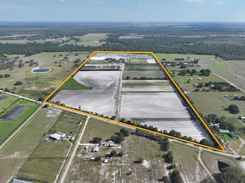 Manatee County Farmland : Parrish : Manatee County : Florida