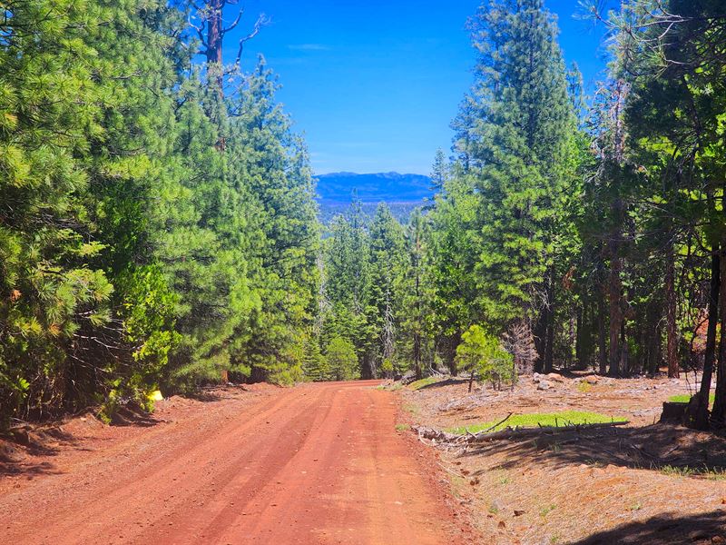 Build, Retire, Camp, & Invest in CA : Alturas : Modoc County : California