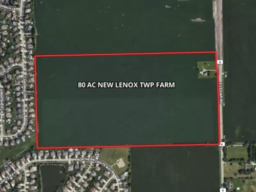80 AC New Lenox Twp Farm : New Lenox : Will County : Illinois