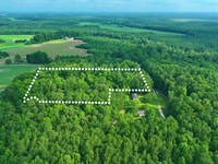 Wooded Hideaway Mins to Pendleton : Severn : Northampton County : North Carolina