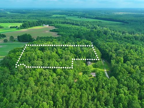 Wooded Hideaway Mins to Pendleton : Severn : Northampton County : North Carolina