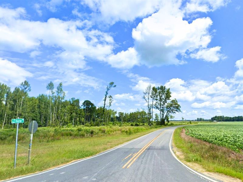 2.02 Acre Only 5 Mins to Pendleton : Severn : Northampton County : North Carolina