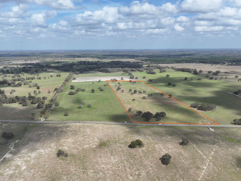 46 Acre Marion County Ranchette E : Dunnellon : Marion County : Florida