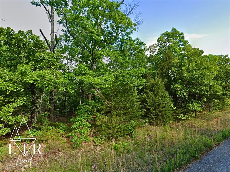 Tall Trees & Tranquility : Horseshoe Bend : Izard County : Arkansas