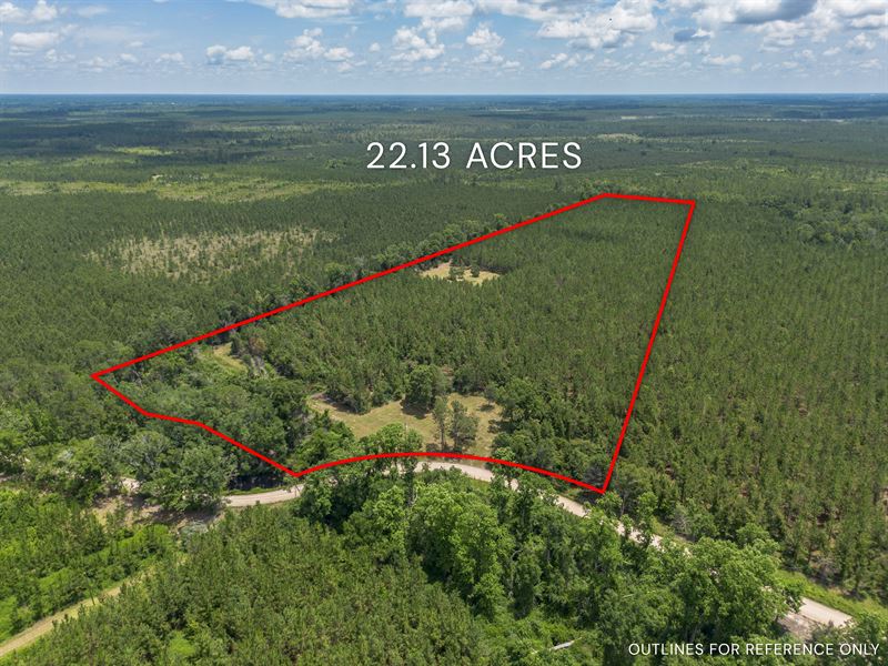 22.13 Acres, Oriole Road Alma, GA : Alma : Bacon County : Georgia