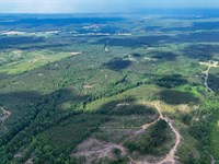 8 Lot Subdivision in Webster MS : Mantee : Webster County : Mississippi