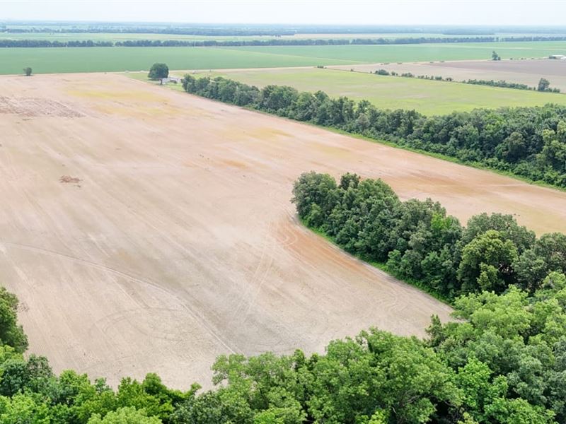 53.32 Acres of Farm Land or Buil : Crawfordsville : Crittenden County : Arkansas