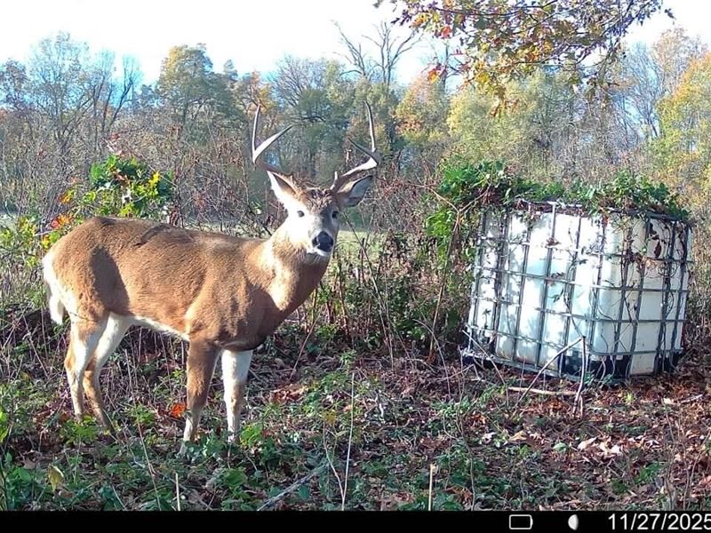 Price Drop, 53.32 Acres of Farm : Crawfordsville : Crittenden County : Arkansas