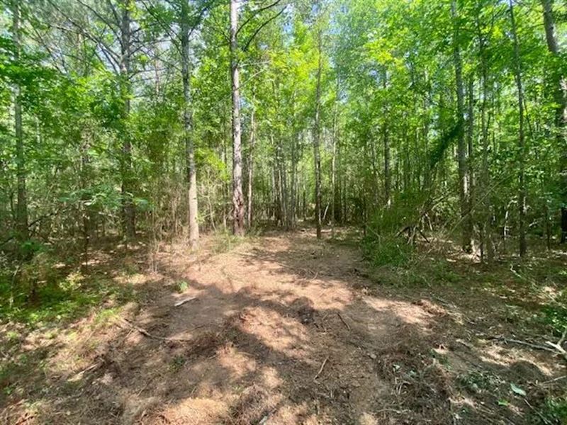 13 Acres Primitive Dr Se Lincoln Co : Ruth : Lincoln County : Mississippi