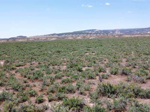 Western 299 : Dinosaur : Moffat County : Colorado