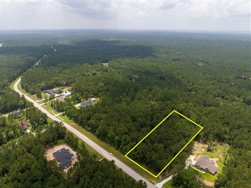 2 Acres, Lonestar Road, Texas Gra : Huntsville : Walker County : Texas