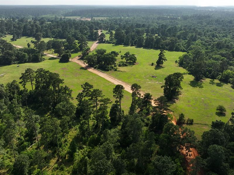 Blake Ranch : Montgomery : Montgomery County : Texas