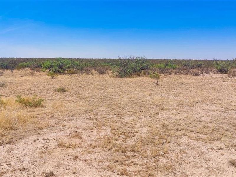 Incredible 51-Acre Country Paradise : Fort Hancock : Hudspeth County : Texas