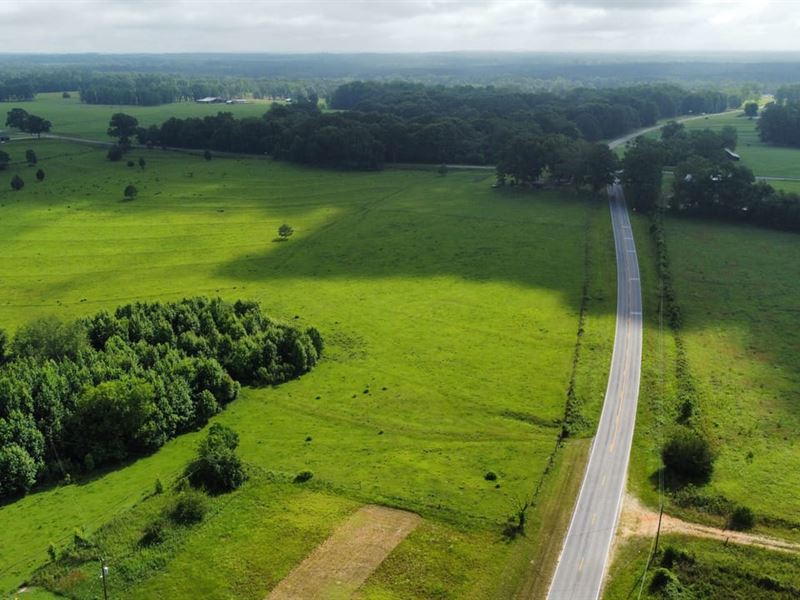 5 Acres Notasulga, AL : Notasulga : Macon County : Alabama