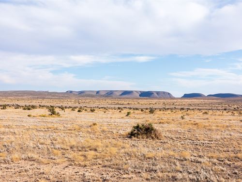 $999 Down Texas Land : Sierra Blanca : Hudspeth County : Texas