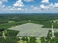 13.44 Acre Lot in Sylvania : Sylvania : Screven County : Georgia
