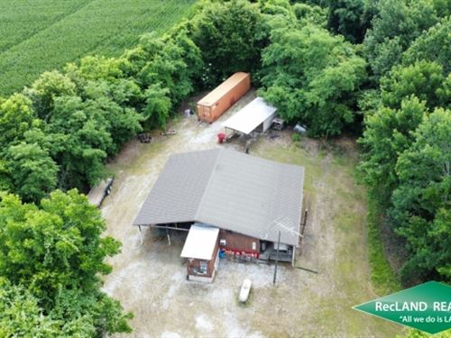 130 Ac Turnkey Hunting Tract : Saint Joseph : Tensas Parish : Louisiana