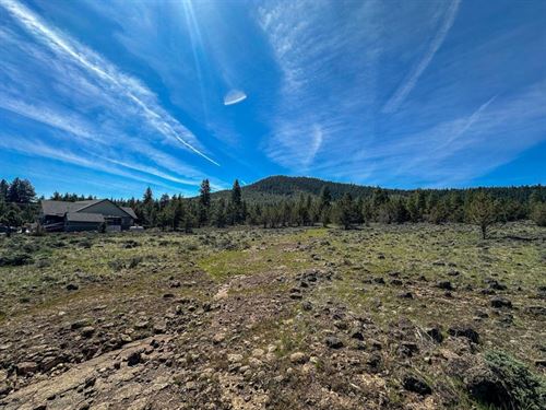 Double 5 Acre Lots : Keno : Klamath County : Oregon