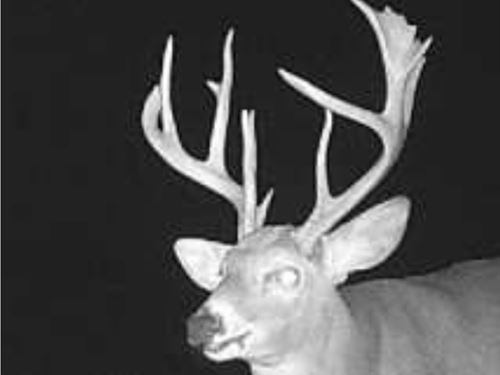 South Wea Creek Retreat : Louisburg : Miami County : Kansas