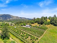 Apple Lane Orchard : Julian : San Diego County : California
